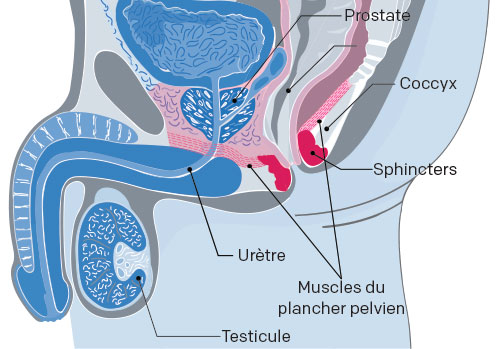 chirurgie tub de prostatita