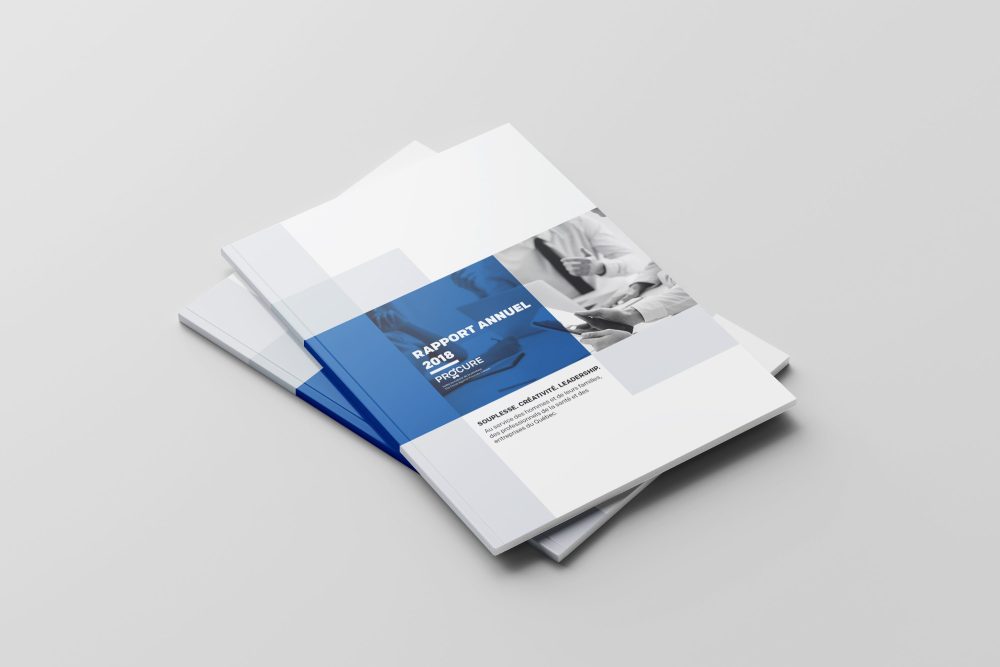 Rapport Annuel 2018