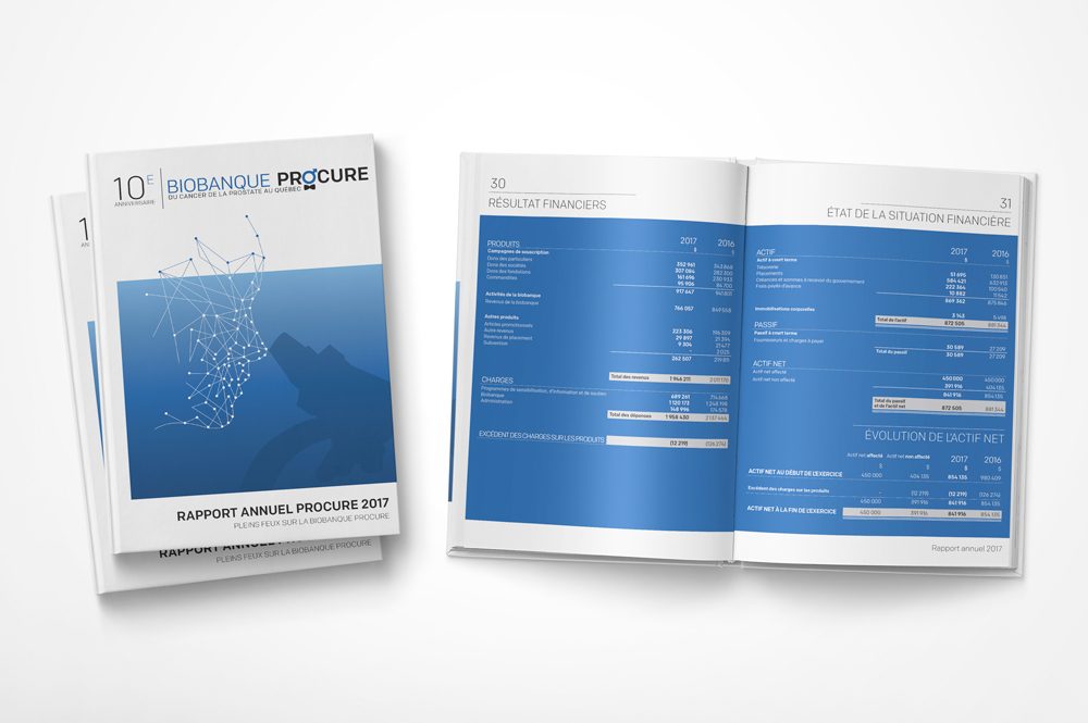 Rapport Annuel 2017