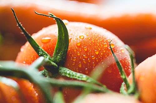 cancer prostate et bienfaits des tomates