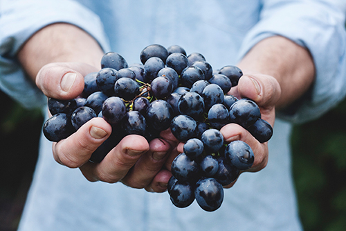 cancer prostate et bienfaits des raisins